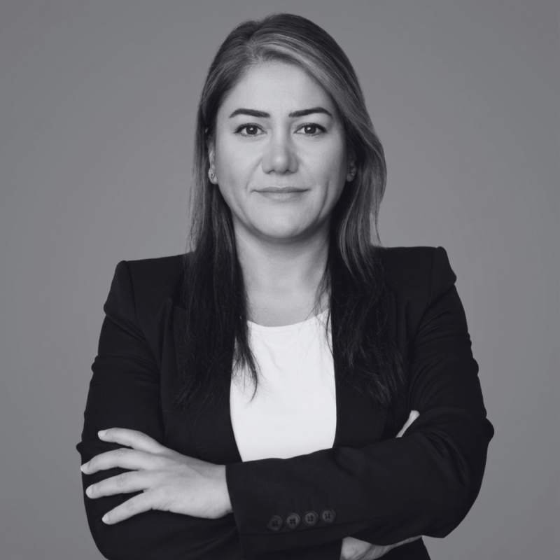regulus Sinem Taşoluk